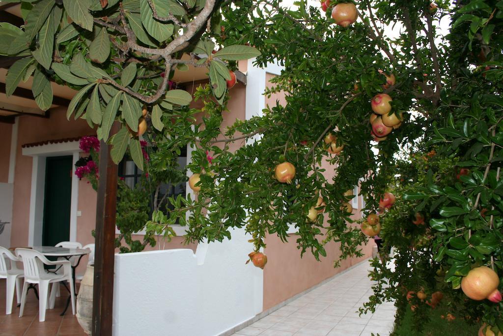 Androulakis *